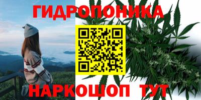 apvp Бузулук