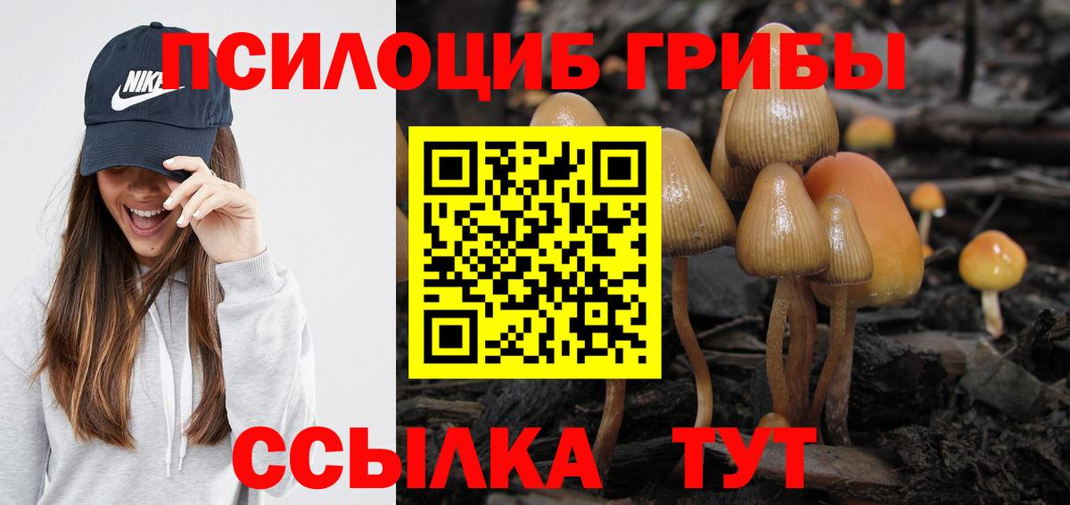 Псилоцибиновые грибы прущие грибы Кондопога