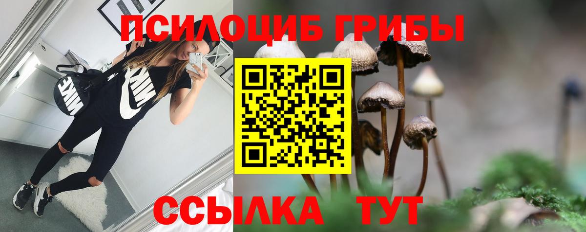 Псилоцибиновые грибы MAGIC MUSHROOMS  Вход с VPN  Кондопога  Псилоцибиновые грибы MAGIC MUSHROOMS 